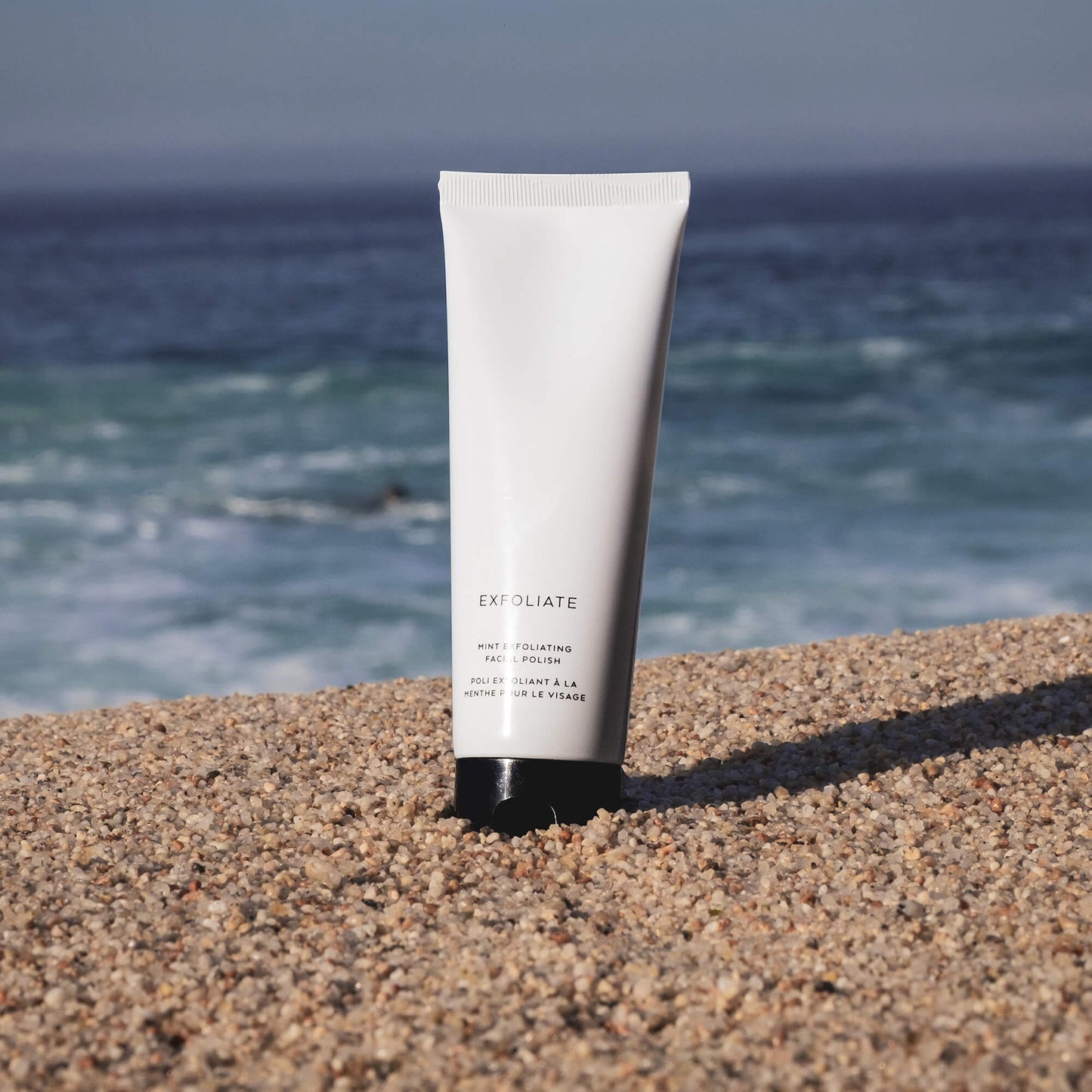 Mint Exfoliating Facial Polish Velvet Symphony