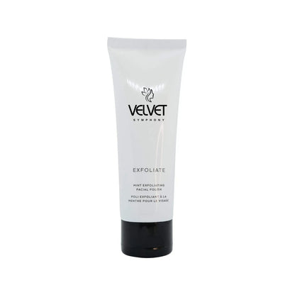 Mint Exfoliating Facial Polish Velvet Symphony