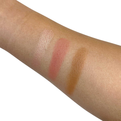 Pro Cheek Palette - Curious Velvet Symphony